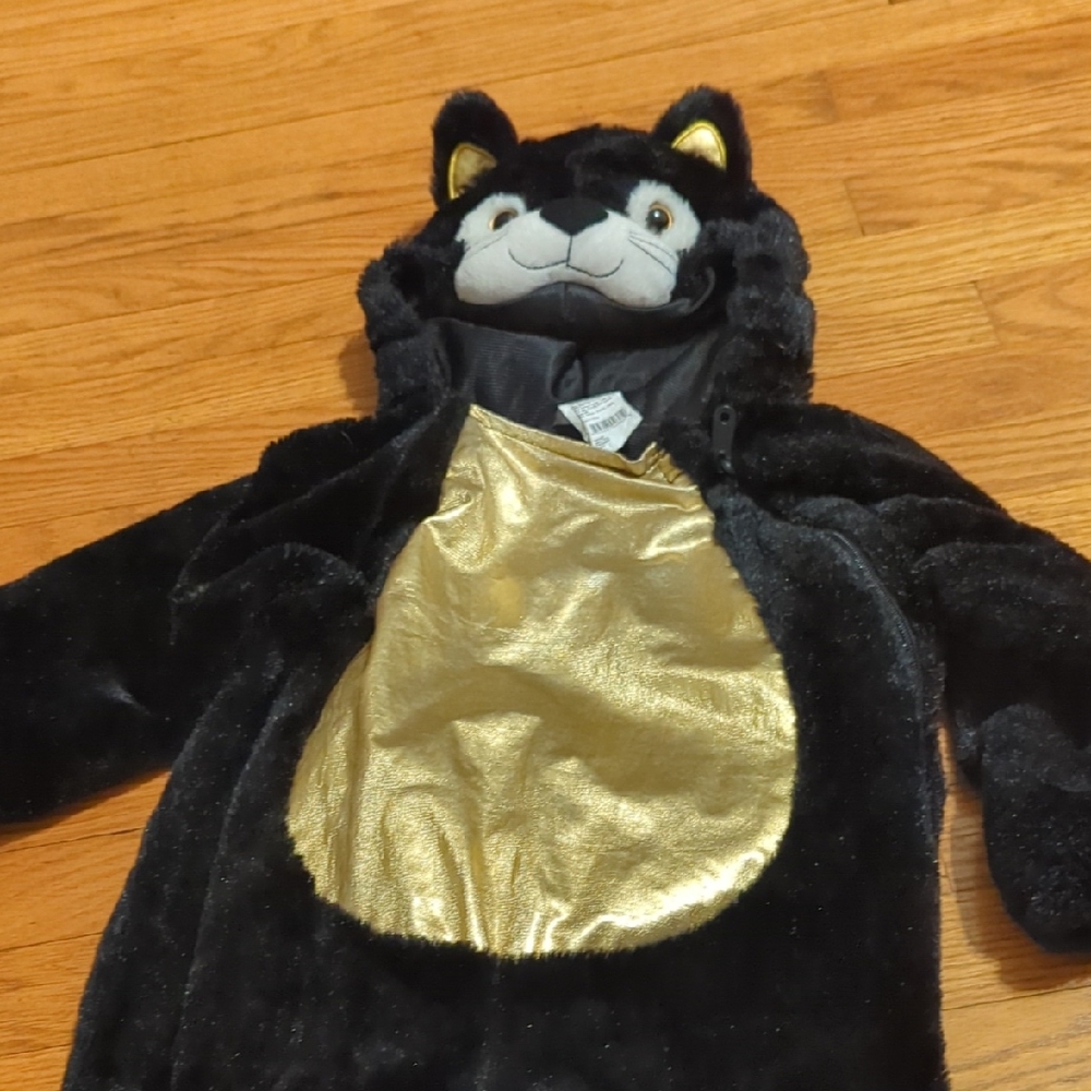 Black Cat Toddler Costume